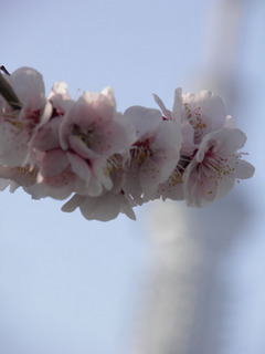 20130309_005.jpg