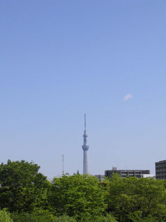 20130427_003.jpg