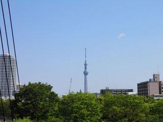 20130427_004.jpg