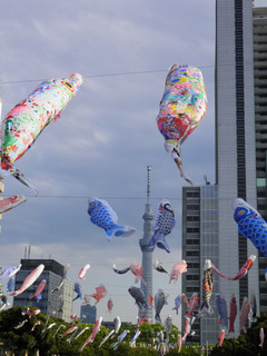 20130504_004.jpg