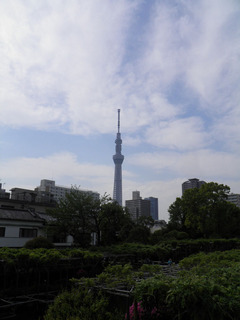 20130506_003.jpg