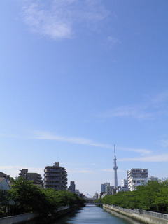 20130602_003.jpg