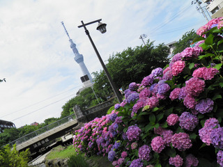 20130615_001.jpg