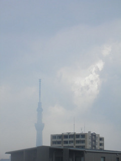 20130714_002.jpg