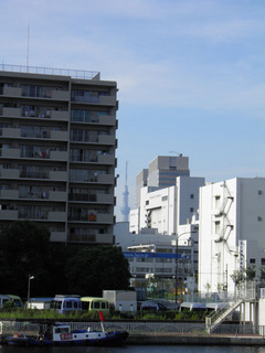 20130817_001.jpg
