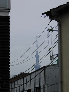 20130825_007.jpg