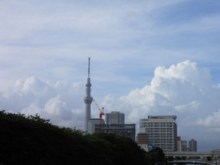 20130915_001.jpg