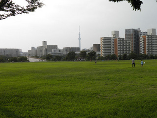 20130922_005.jpg