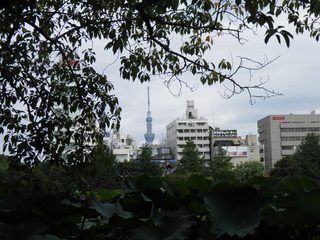 20130928_010.jpg
