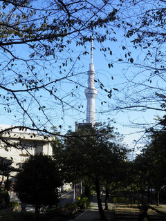 20131027_010.jpg