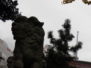 201311P5_001.jpg