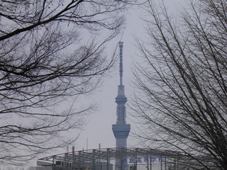 20140211_004.jpg