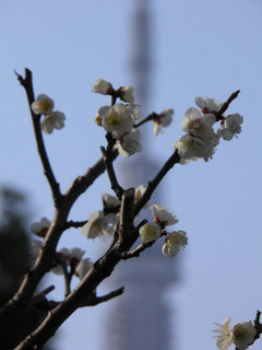 20140316_002.jpg