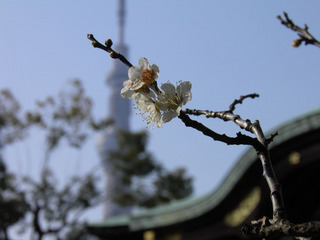 20140316_003.jpg