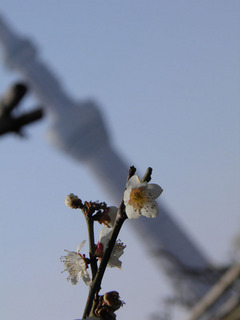 20140316_010.jpg
