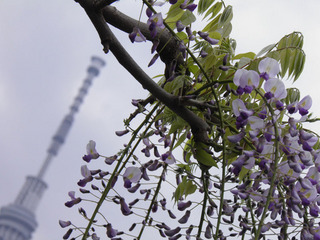 20140420_004.jpg