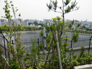 20140525_011.jpg