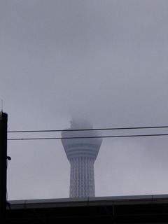 20140608_002.jpg