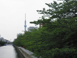 20140623_002.jpg
