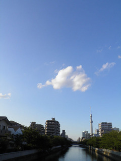 20140914_002.jpg