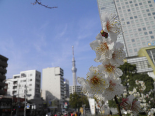 20140P2010001.jpg