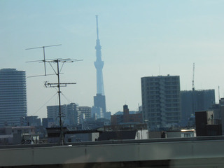 20141228_006.jpg