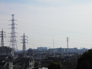 20141228_021.jpg