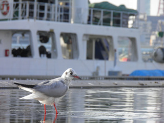 201501104_010.jpg