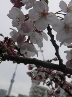 20150329_012.jpg