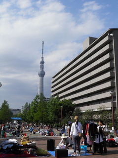 20150510_002.jpg