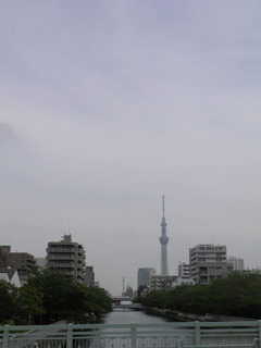 20150522_003.jpg