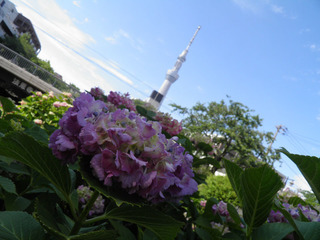 20150531_005.jpg