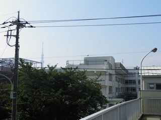 20150802_001.jpg