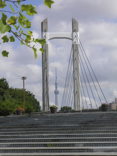 20150815_002.jpg