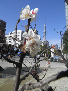 20160214_001.jpg