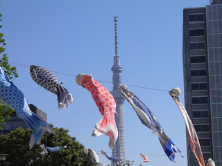 20160504_014.jpg