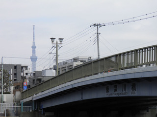 2016212_002.jpg