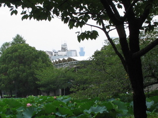 IMG_3601.jpg