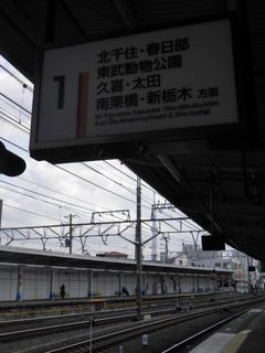 P3110004.JPG