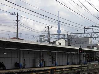P3110006.JPG