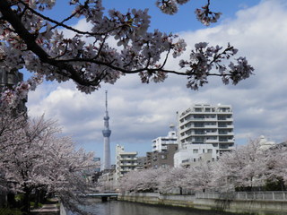 P4040010.JPG