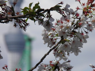 P4040015.JPG