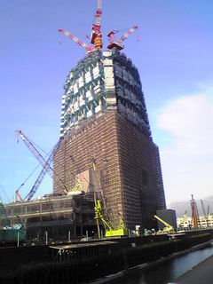 st20090812.jpg