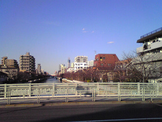 st20100117_315.jpg