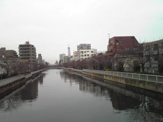 st20100227_s.jpg