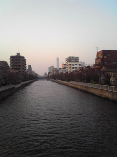 st20100320_331.jpg