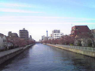 st20100327_331.jpg
