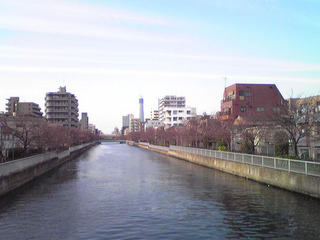 st20100327_332.jpg
