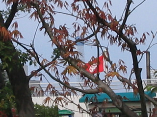 st20100418_3383.jpg