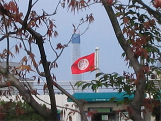 st20100418_3384.jpg